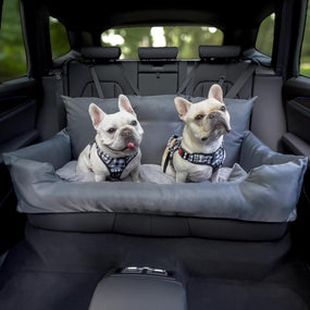 Tapete-Casita Portátil para Mascotas