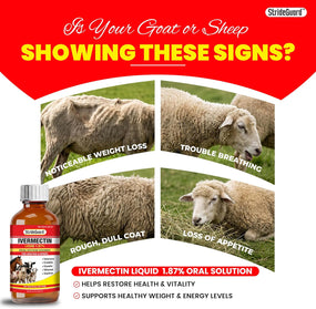 Dewormer for Horse, Dewormer for Goat and Cattle & More, Ivermectin Liquid for All Wormers, Tapeworms, Roundworms & Hookworms