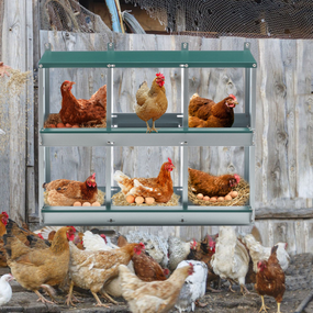 Nido ponedero para gallinas 6 compartimentos