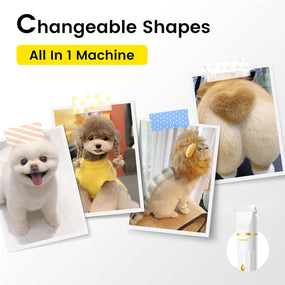 Dog Clippers for Grooming, Small Dog Clipper Dog Grooming Kit with 4 Blade Heads, Low Noise Dog Grooming Kit for Dogs Hair, Dog Clippers of Eyes, Ears, Face, Rump