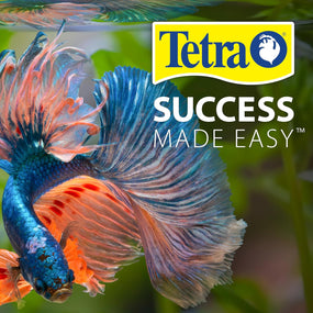 Tetra Aquasafe plus Water Conditioner & Dechlorinator for Aquarium, 33.8 Oz