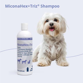 MiconaHex+Triz — shampoo con miconazol y clorhexidina para perro, gato y caballo, 473 ml