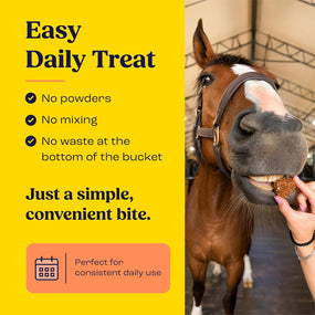 Summit Equine Joint & Mobility Bites Daily Supplement for Horses, Liposomal Delivery, Max Absorption, Vet Recommended, All-Natural Ingredients, 100% Drug-Free, Healthy Joints - 30 Bites