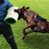 Manga de mordida para entrenamiento canino