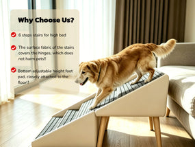 Escalera para perros 2 en 1