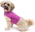 Camisa anti-ansiedad para perros 
