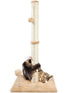 ANWA — poste rascador de sisal natural para gato adulto, 81 cm, beige