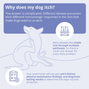 MiconaHex+Triz — toallitas con miconazol y clorhexidina para perro, gato y caballo, 50 piezas