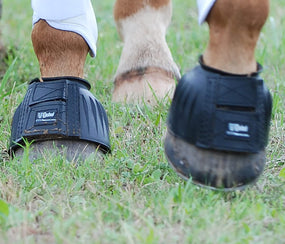 Cashel — Campanas de hule para caballo, negras, talla L