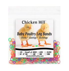 Chicken Hill — Anillos para pollito 6 mm, 100 piezas
