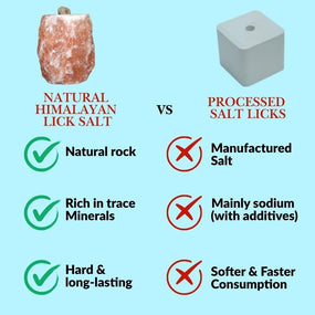 6 Lbs Himalayan Salt Lick on Rope for Horse, Cow, Goat, Sheep, Deer and Livestock Animals - 2 Pack