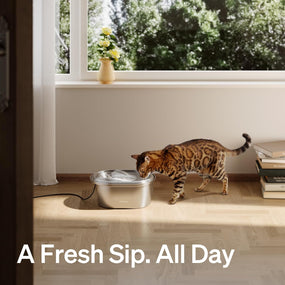 PETLIBRO Stainless Steel Cat Water Fountain, 101Oz/3L Automatic Water Dispenser for Cats Indoor, Quiet Pet Water Dispenser with 2 Filters, Adjustable Flow Cat Fountain Also for Small Dogs