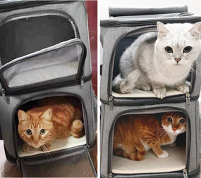Mochila transportadora para 2 gatos — 7 ventilas, estructura rígida y plegable