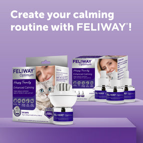 Feliway Optimum — difusor de feromonas para gato, kit con repuesto