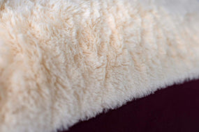  Cama para perros, extra grande, 49 x 35 pulgadas