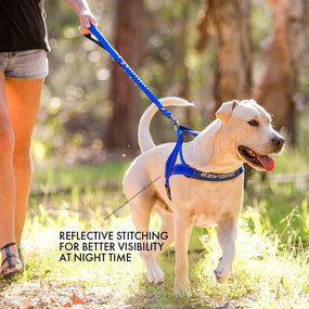 Arnés ajustable para perros, talla S, Azul