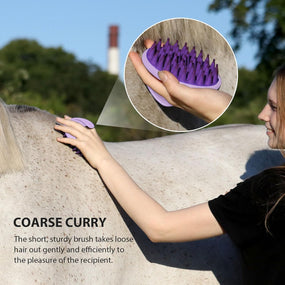 Kit de cepillos de aseo para caballos 