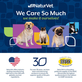 NaturVet Urinary Care — masticables de arándano y equinácea para perro, 120 piezas