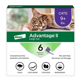 Advantage II — pipetas tópicas antipulgas para gato grande, 6 aplicaciones