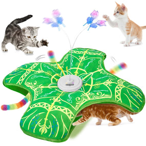 Qraxond — túnel automático con mariposa y cola para gato, doble motor