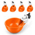 Lil'Clucker — Copas bebederas automáticas grandes, 5 piezas