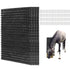 Kit de cepillos de masaje para caballos. Paquete de 4