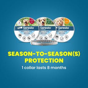 Seresto — collar antipulgas y garrapatas para gato, 8 meses de duración