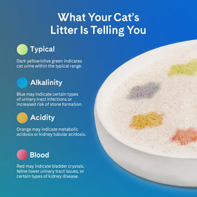 PrettyLitter — arena de sílice para gato que cambia de color, sin aroma, 2 bolsas de 2.7 kg