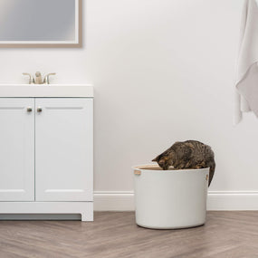 IRIS USA — arenero de entrada superior para gato, talla grande, beige y blanco