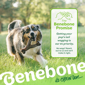 Benebone Wishbone — juguete masticable sabor tocino para perro, talla grande