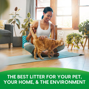 Fresh News — arena de papel reciclado en pellet para gato, no aglutinante, 11.3 kg
