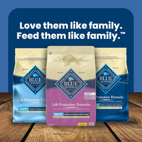 Alimento Seco para Perro Adulto de Raza Pequeña Blue Buffalo Life Protection Formula con Pollo y Arroz Integral, Nutrición Natural para Alta Energía