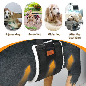 Pick For Life — arnés de soporte para patas traseras de perro grande, ajustable