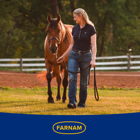 Farnam Vetrolin Shine — Abrillantador y desenredante, 1.9 litros