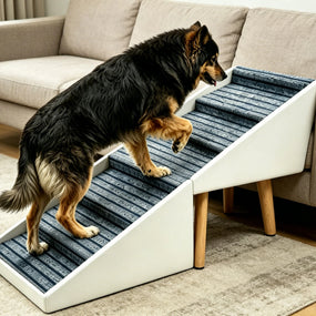 Escalera para perros 2 en 1