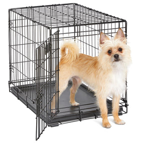 MidWest iCrate — jaula plegable de una puerta para perro chico, 62 x 44 x 50 cm