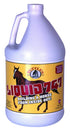 Equine D GAL Tuttle'S Liquid 747 Feed Supplement