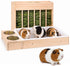 3 in 1 Guinea Pig Hay Feeder with Litter Box, Bowl Tray for Small Animals