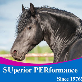 SU-PER Hyaluronic Supplement for Horses, Gallon Liquid
