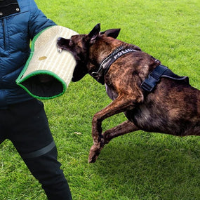 Manga de mordida para entrenamiento canino